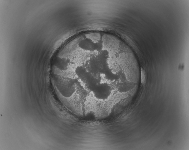 X0000111910675200908171302