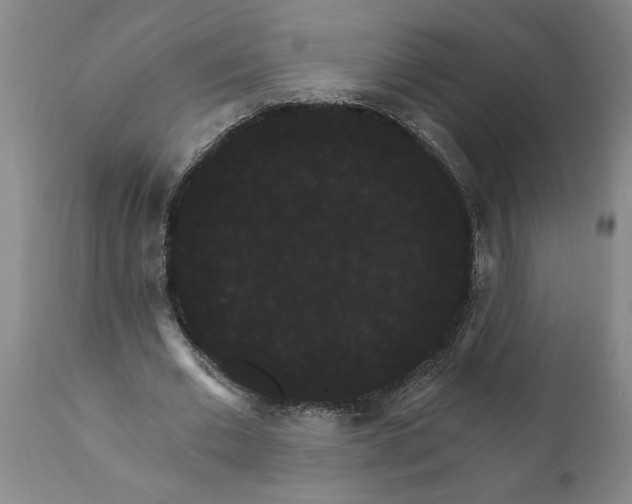 X0000111910677200908171302