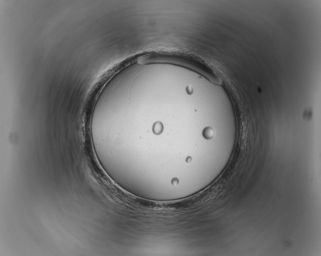 X0000111910680200908171302