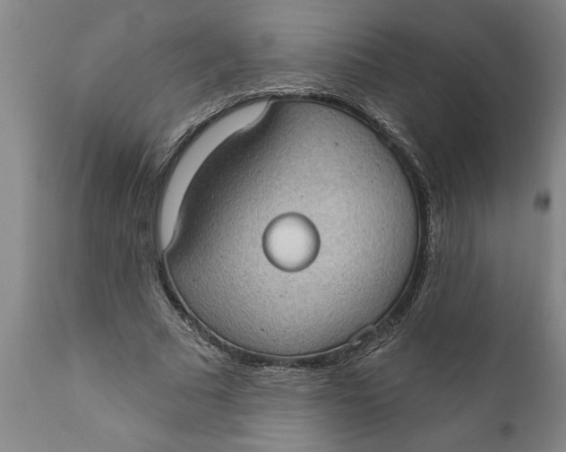 X0000111910681200908171302