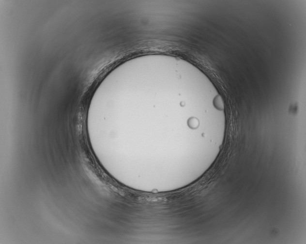 X0000111910683200908171302