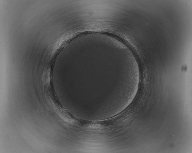 X0000111910685200908171302