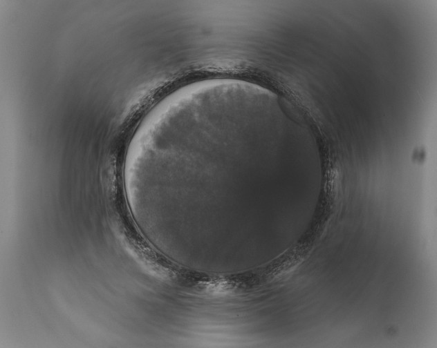 X0000111910688200908171302