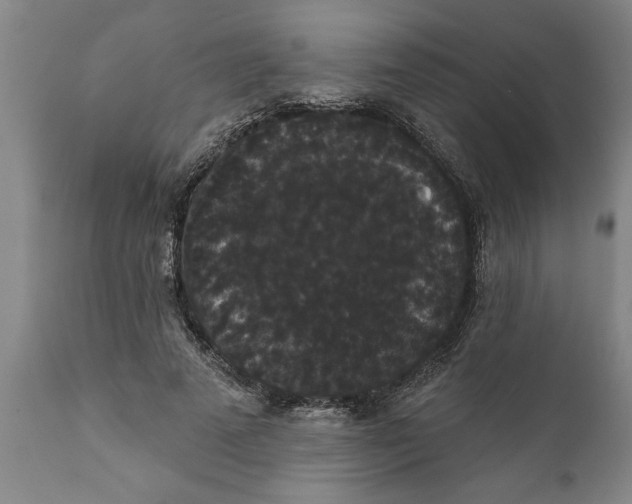 X0000111910689200908171302