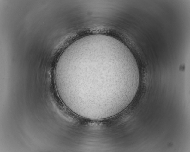 X0000111910690200908171302