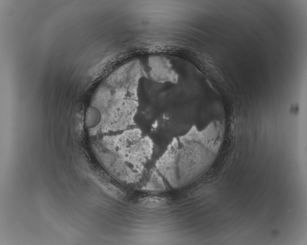 X0000111910691200908171302