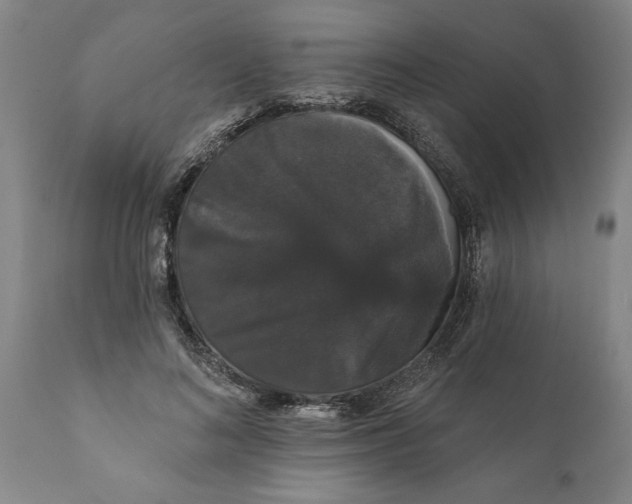 X0000111910692200908171302