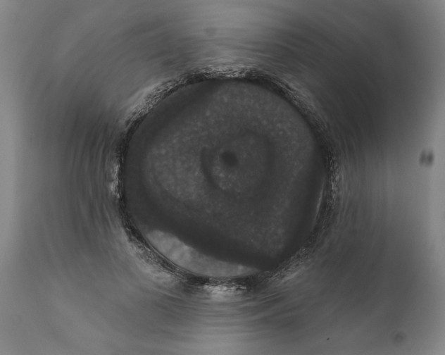 X0000111910693200908171302