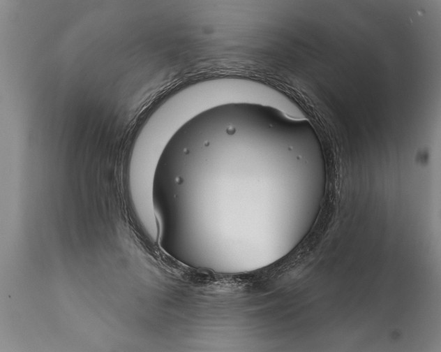 X0000111910696200908171302