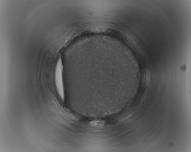 X0000111910700200908171302