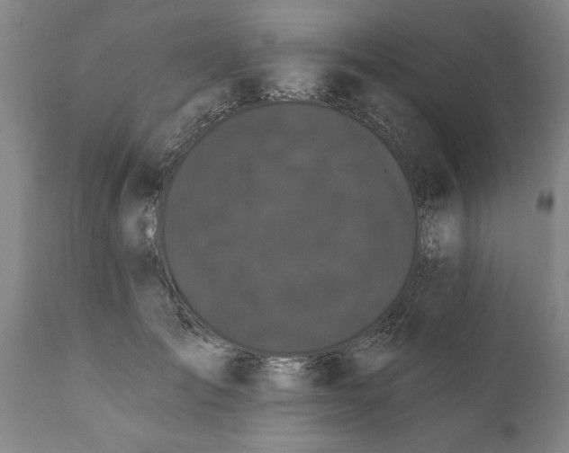 X0000111910701200908171302