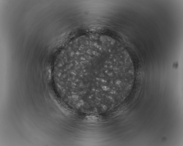 X0000111910703200908171302