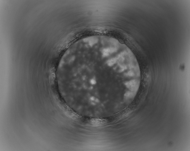 X0000111910707200908171302