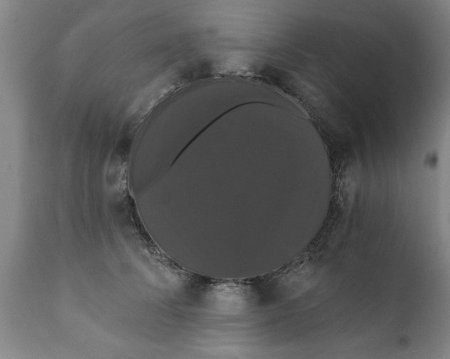 X0000111910708200908171302