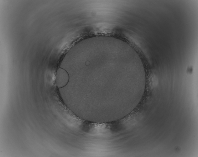 X0000111910709200908171302