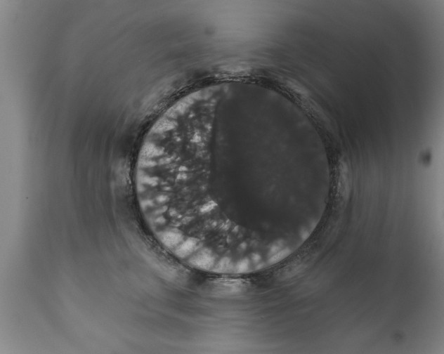 X0000111910711200908171302