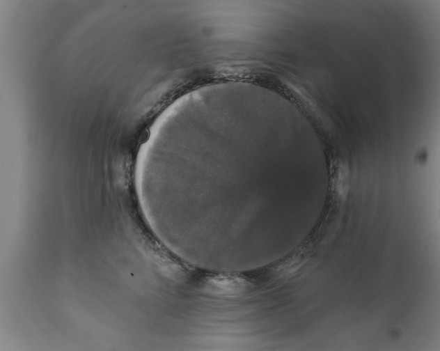 X0000111910712200908171302