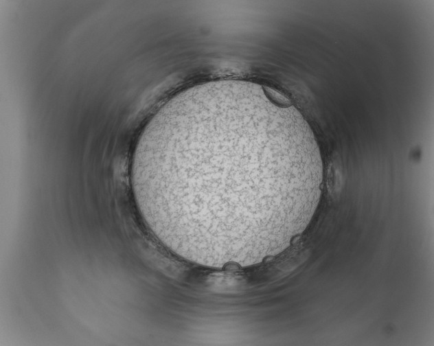 X0000111910714200908171302