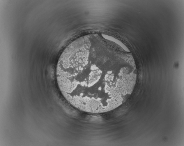 X0000111910715200908171302