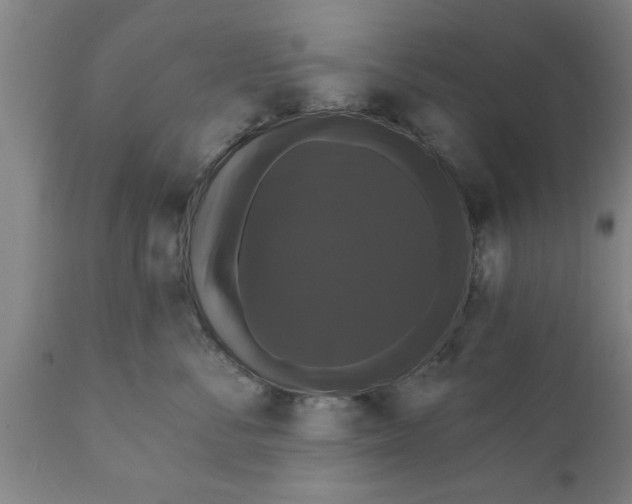 X0000111910716200908171302