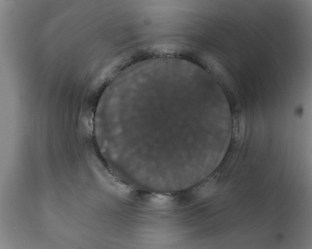 X0000111910718200908171302