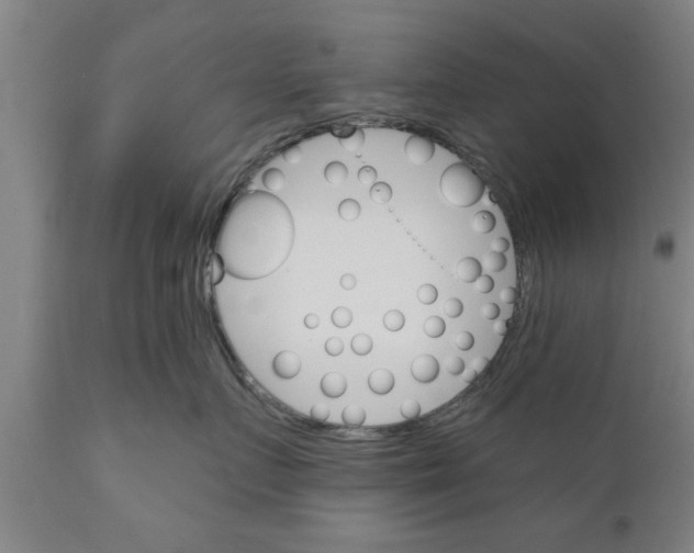 X0000111910719200908171302