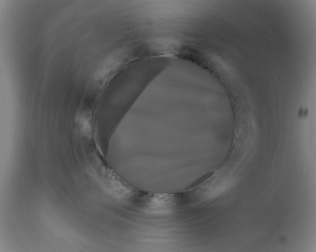 X0000111910720200908171302