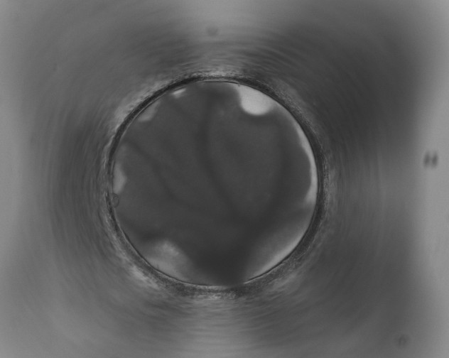 X0000111910721200908171301