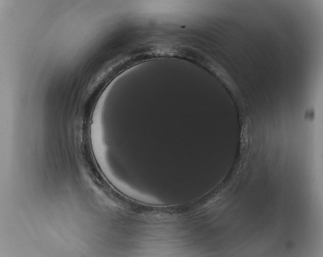 X0000111910722200908171301