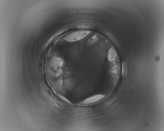 X0000111910723200908171301