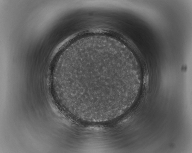 X0000111910724200908171301