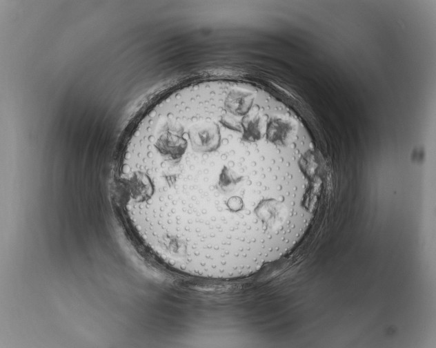 X0000111910725200908171301