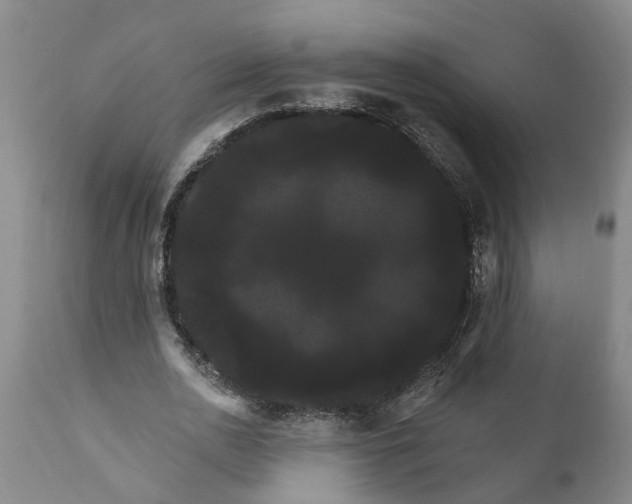 X0000111910726200908171301