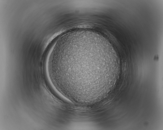 X0000111910727200908171301