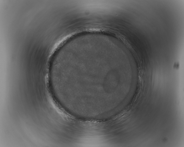 X0000111910728200908171301