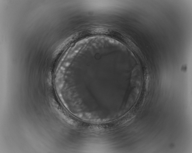 X0000111910729200908171301