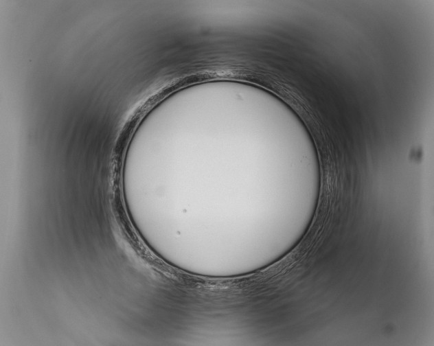 X0000111910730200908171301