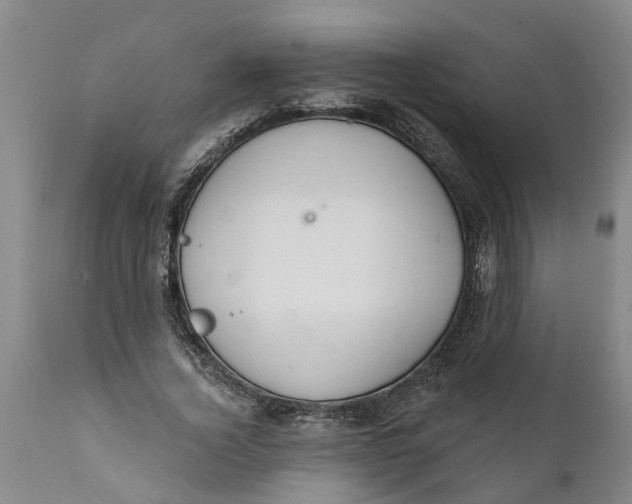 X0000111910732200908171301