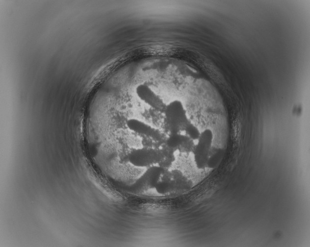 X0000111910733200908171301