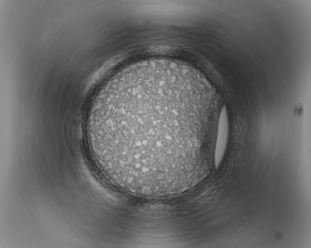 X0000111910734200908171301