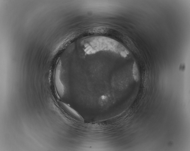 X0000111910735200908171301