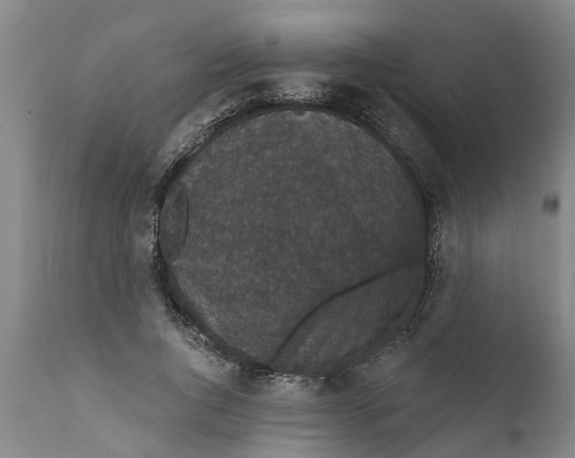 X0000111910736200908171301