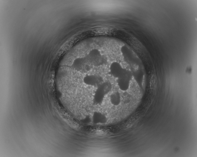 X0000111910737200908171301