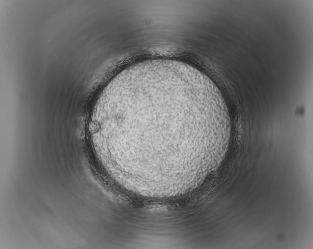 X0000111910738200908171301