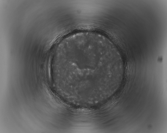 X0000111910739200908171301