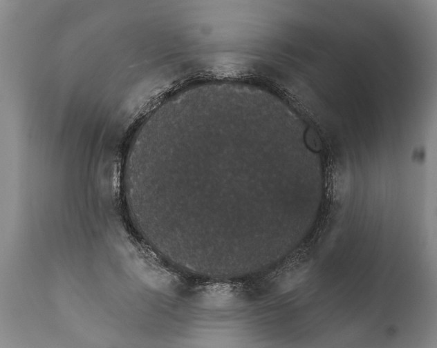 X0000111910740200908171301