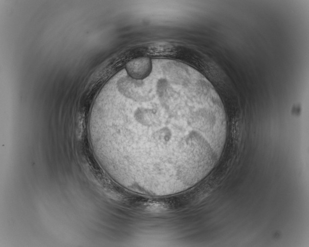 X0000111910741200908171301