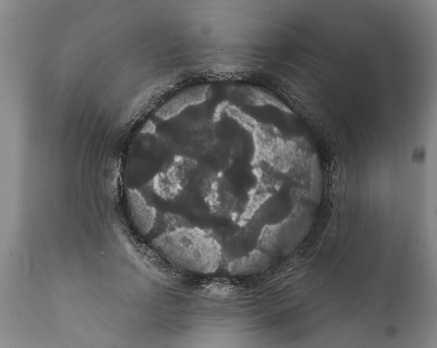 X0000111910742200908171301