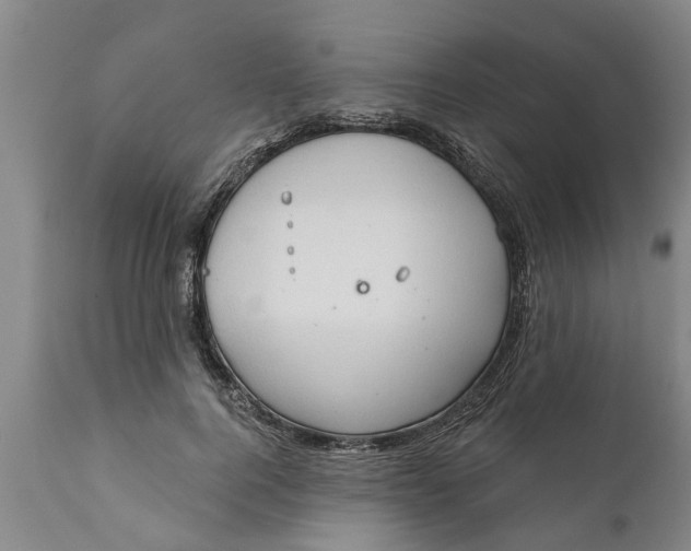 X0000111910744200908171301