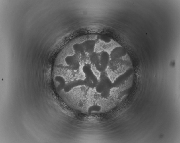 X0000111910745200908171301